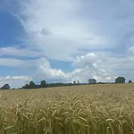 Sielski Loft Mazury W Poblizu Jezior, Elganowo, Pasym * Grzegrzolki