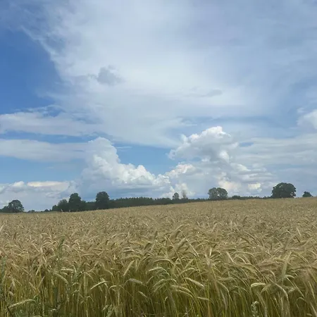 Sielski Loft Mazury W Poblizu Jezior, Elganowo, Pasym * Grzegrzolki