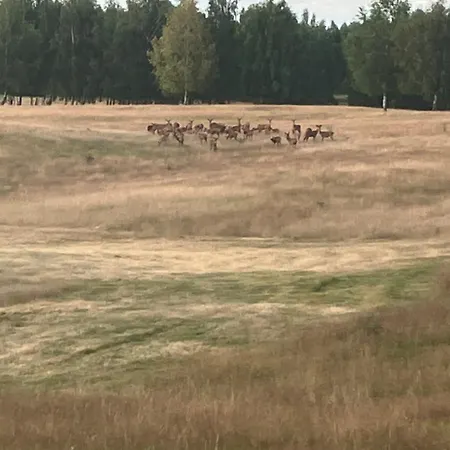 Sielski Loft Mazury W Poblizu Jezior, Elganowo, Pasym